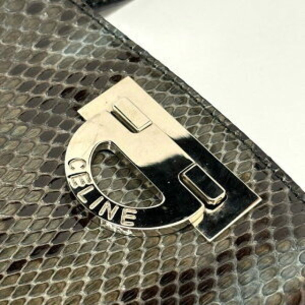Celine Python Bag - Picture 6 of 6